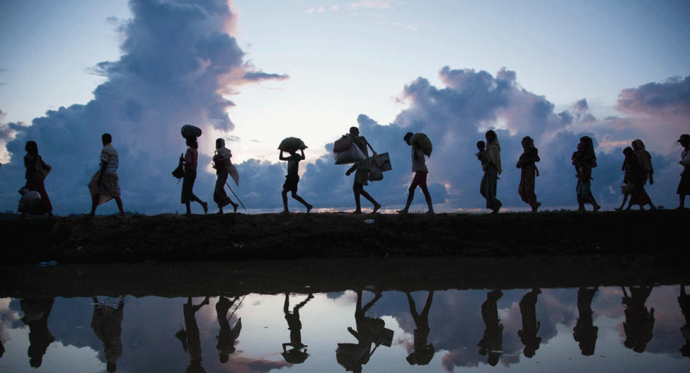 Migration