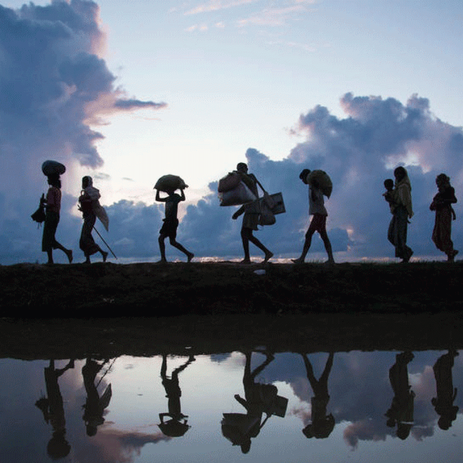 Migration